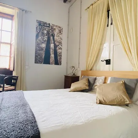 New Typical Canary Casa Ma, Tenerife